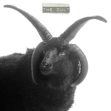 The Cult - The Cult (CREAM VINYL 2LP)