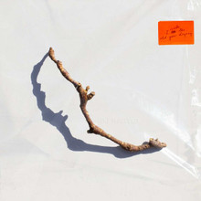 PJ Harvey - I Inside the Old Year Dying (12" VINYL LP)