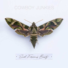 Cowboy Junkies - Such Ferocious Beauty (CD)