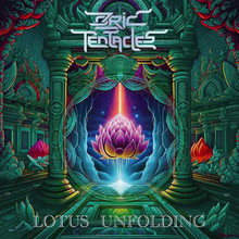 Ozric Tentacles - Lotus Unfolding (12" VINYL LP)