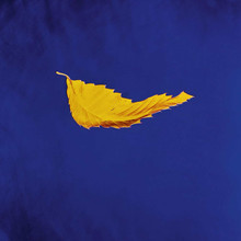 New Order - True Faith (12" VINYL LP) 2023 Remaster