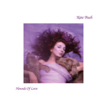 Kate Bush - Hounds of Love (12" VINYL LP)