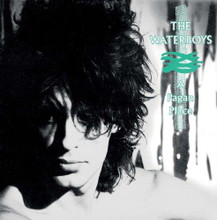 The Waterboys - A Pagan Place (12" VINYL LP)