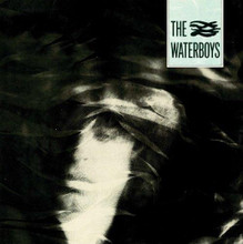 The Waterboys - The Waterboys (12" VINYL LP)