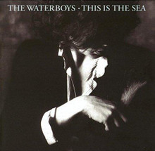 The Waterboys - This Is The Sea (Collectors Edition) (2CD)