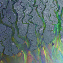 Alt-J - An Awesome Wave (12" VINYL LP)