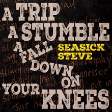 Seasick Steve - A Trip, A Stumble, A Fall Down On Your Knees (CASSETTE)