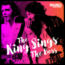 The King Sings The Boss Badlands Post-show Party Cardiff  - 5th May 2024 (TICKET)