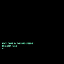 Nick Cave & The Bad Seeds - Skeleton Tree (CD)