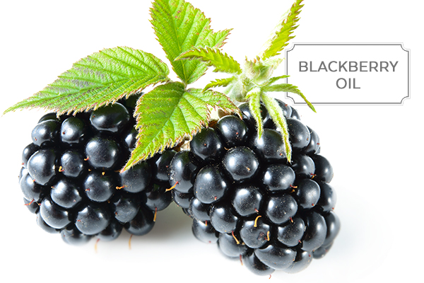 blackberry-oil.jpg