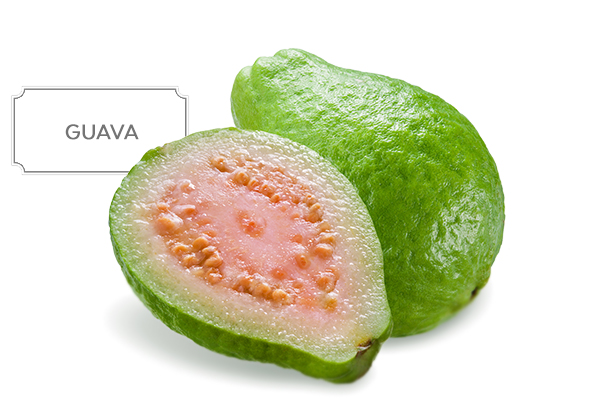 guava1.jpg