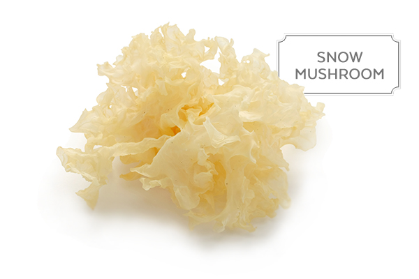 snow-mushroom1.jpg
