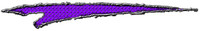 Scratch 102 Purple
