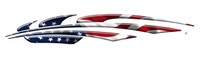 American Flag B1209
