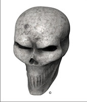 Bone Skull Angle 1