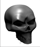 Carbon Fiber Angle Skull 2