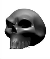 Carbon Fiber Angle Skull 3
