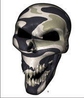 Desert Camo Skull