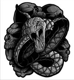 Die cut highly detailed Venom Snake Decal, Sticker.  These graphics are superb and the quality of the sticker is even better.  If you purchase two, we will mirror the 2nd item for you automatically