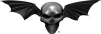 Digital Batwing Skull