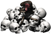 Digital Skull Pile with Snake