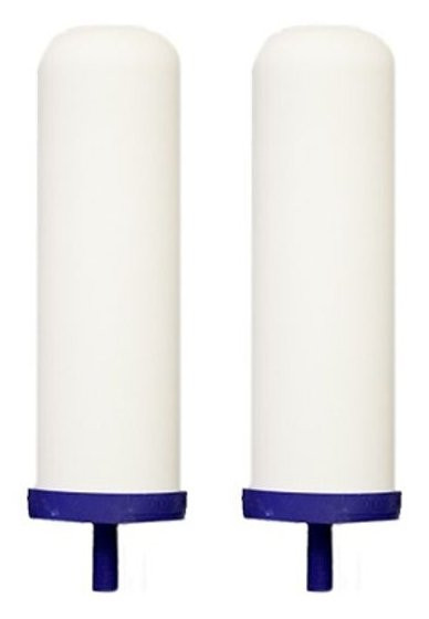ProOne G2.0 9" Pair water and fluoride filters
