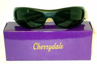 Mens Sunglasses Case Pack 50