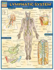 Lymphatic System Quick Reference Guide (Quick Study Academic)