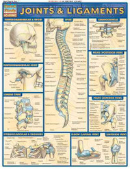 Joints and Ligaments (Quick Study Academic)