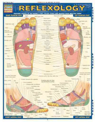 Reflexology Laminated Reference Guide (Quick Study Academic Outline)