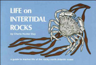 Life on Intertidal Rocks: A Guide to Marine Life of the North Atlantic Coast
