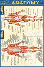 Anatomy Quick Reference Guide (Quick Study: Anatomy)