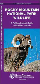 Rocky Mountain National Park Wildlife: An Introduction to Familiar Species (A Pocket Naturalist Guide)