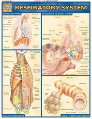 Respiratory System Quick Reference Guide (Quick Study: Academic)