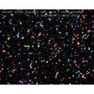 Permaglo Black Lagoon 5lb (5pc)