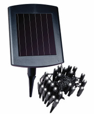 Solar Led Plant And Border Light