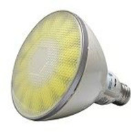 LED 18W Outdoor Warm White Par38