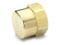Parker 213P-4 Hex Pipe Cap 1/4 NPT Female Brass