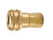 Parker B37 Pneumatic Push-to-Connect Coupler 1/2 NPTF Brass