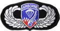 187th Airborne Patch