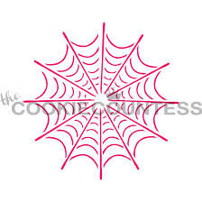 Single Spider Web