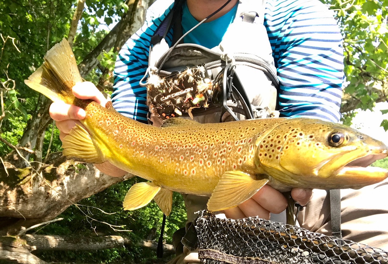 "Advanced Modern Euro Nymphing Clinic" w/ Antoine Bissieux