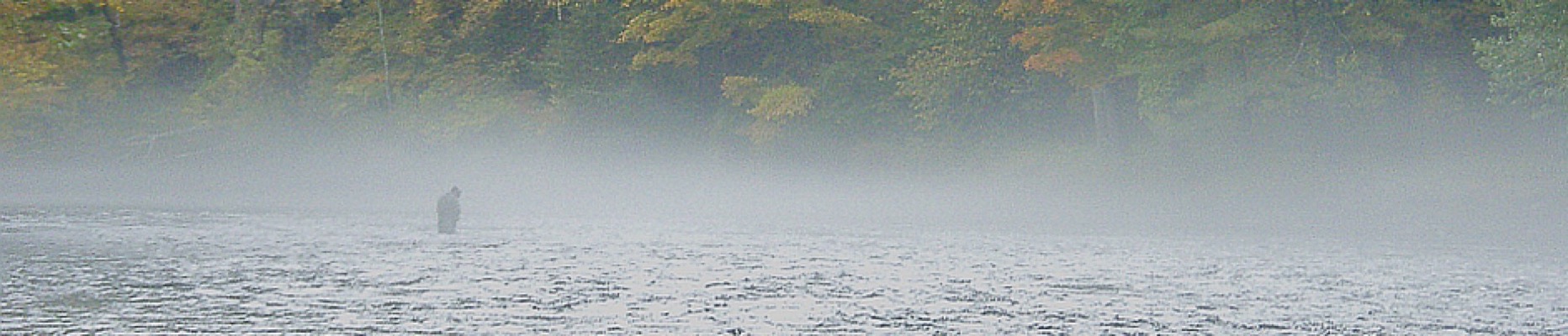 riverreport1.jpg