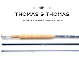 Thomas and Thomas Lotic Glass