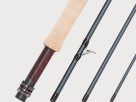 Guideline NT11 Trout