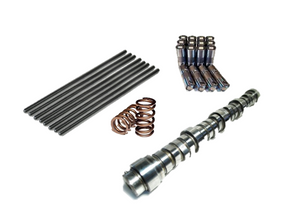 POWER STROKE PRODUCTS PP-CAMPKG6.0 6.0 Cam package (includes Cam, Springs, Pushrods, Lifters)