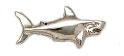 shark.jpg