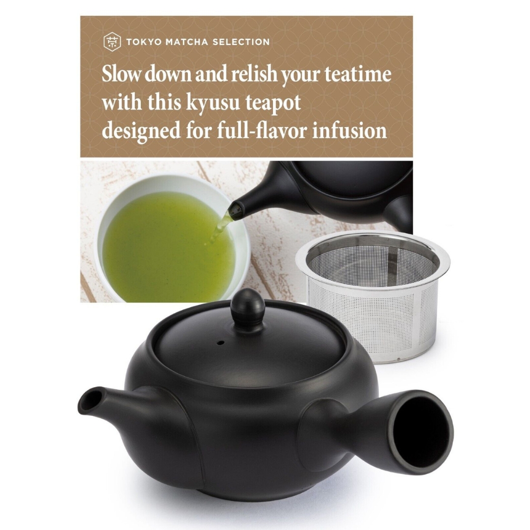 Kyusu Teapot with Infuser for Loose leaf [Japanese Handmade Tokoname Ceramic with Black Clay] 10 oz (300 ml)