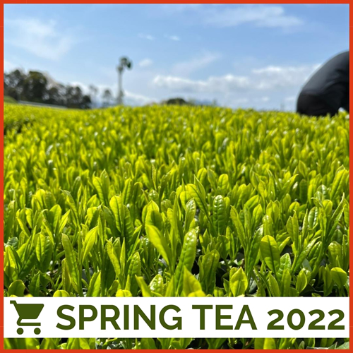 spring tea 2022
