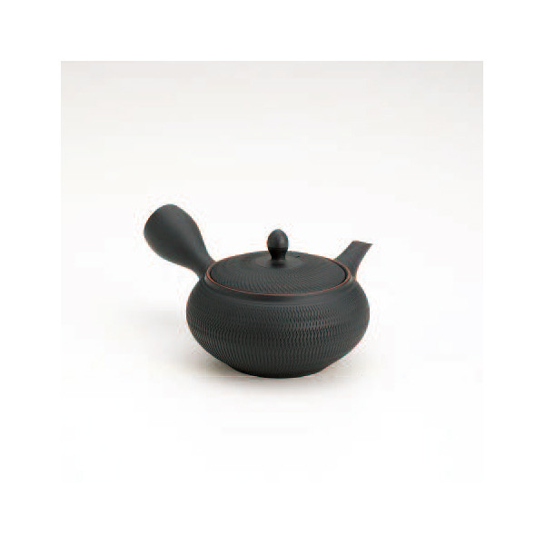 HORYU Tokoname Kyusu